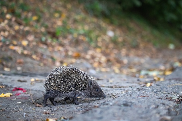 这让人不禁 这让人不禁