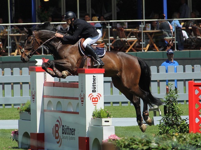 教练的更替 教练的更替