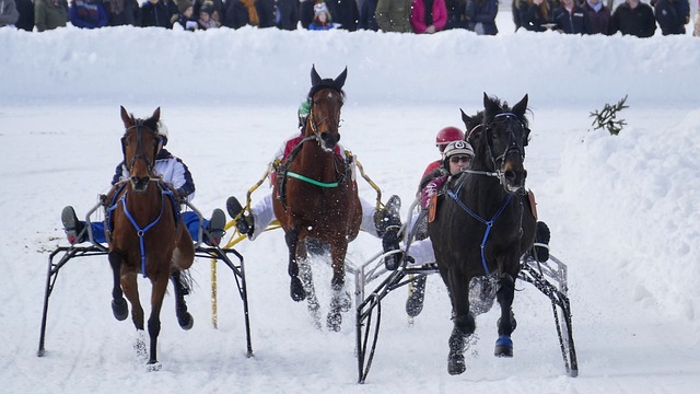 球队需要重 球队需要重