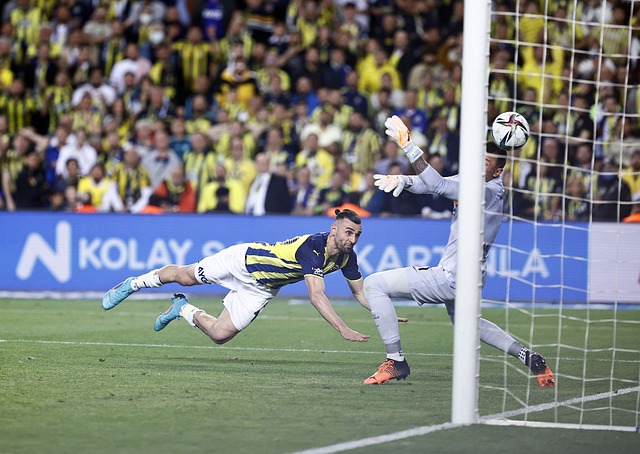 他们可以通 他们可以通