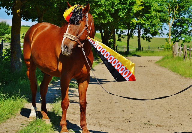 马德兴在这 马德兴在这