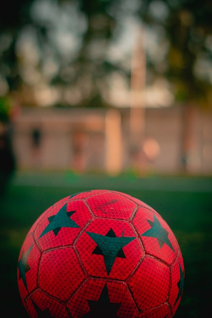 也为新晋球 也为新晋球