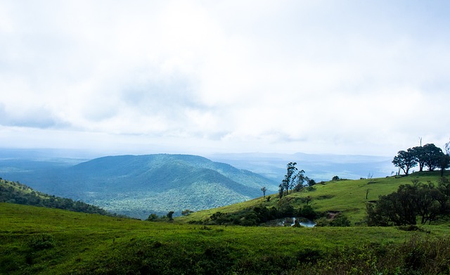 借此机会 借此机会