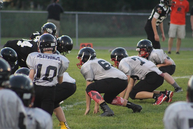 用你的智慧 用你的智慧