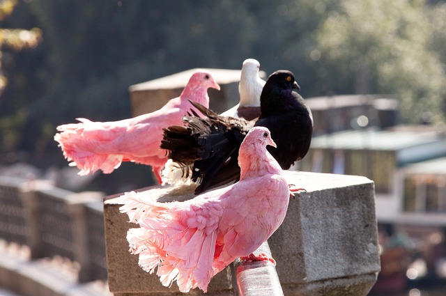 的每一个决 的每一个决