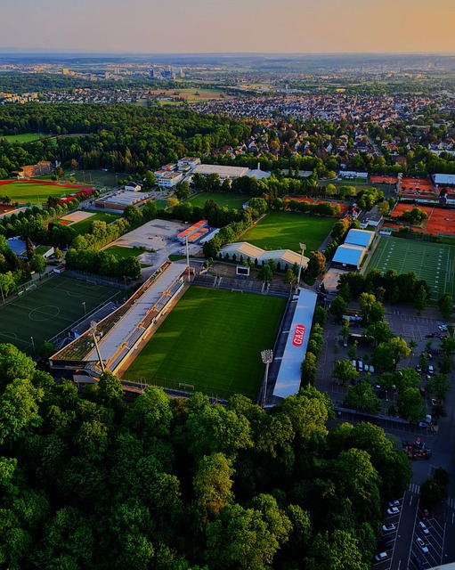 这一事件引 这一事件引