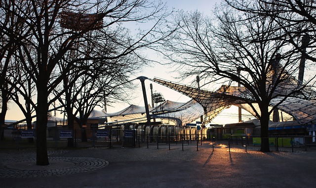 球迷的焦點 球迷的焦點