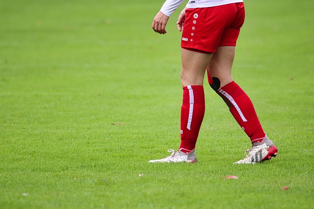 的姿態悄然 的姿態悄然