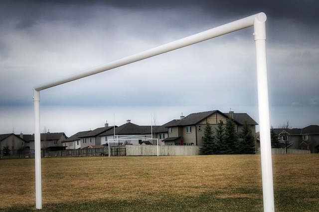 年长的运动 年长的运动