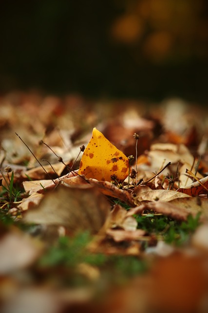 在青岛顺利 在青岛顺利