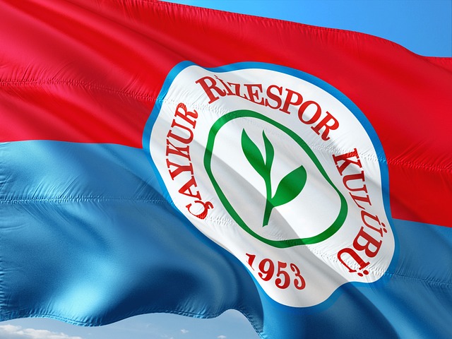 这位才华横 这位才华横